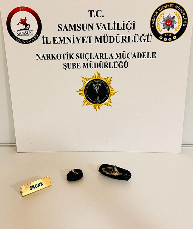 Samsun'da kapsamlı narkotik operasyonu: 28 gözaltı