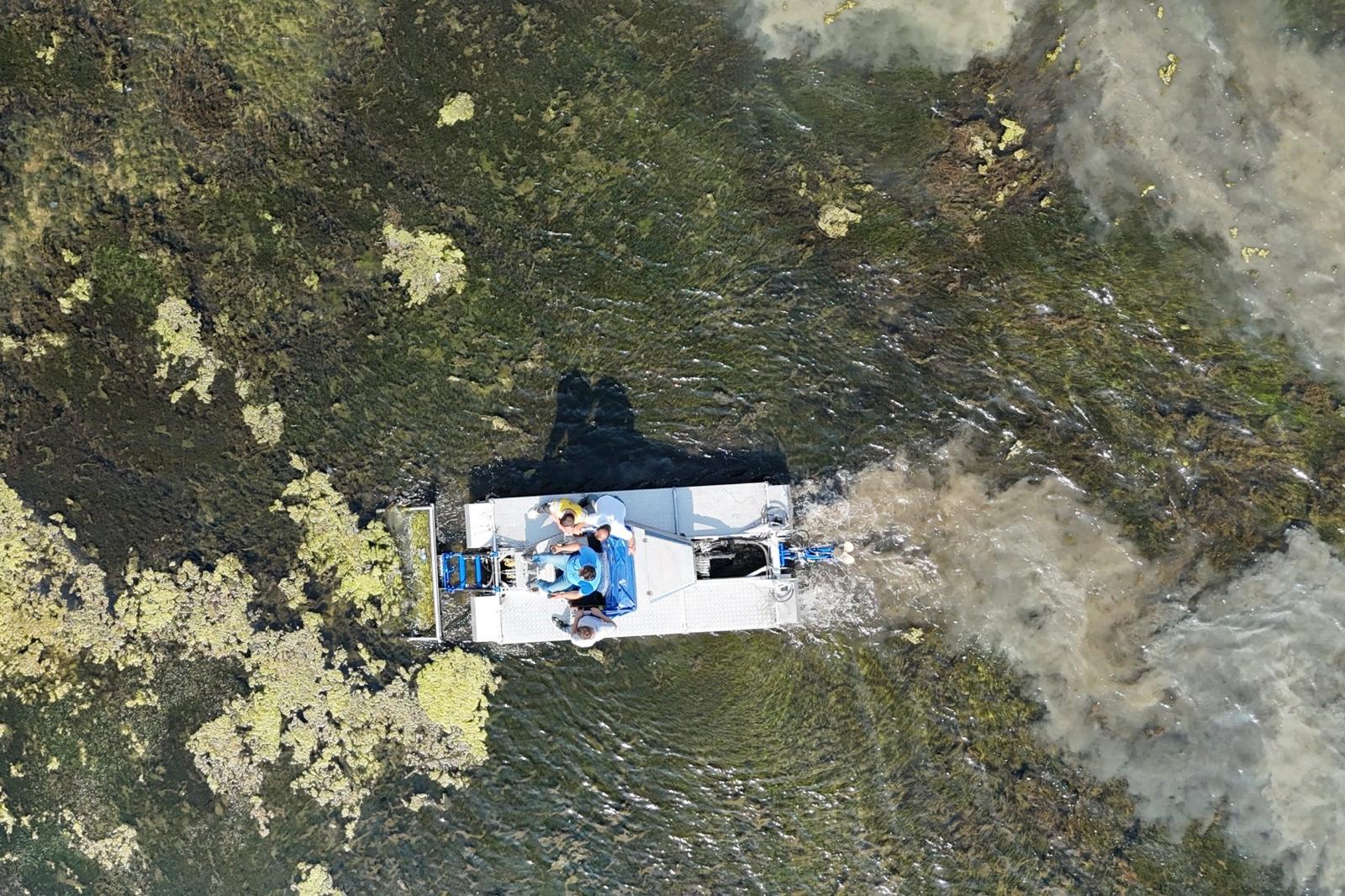 Samsun Büyükşehir'den Körfez'deki müsilaj sorununa çözüm