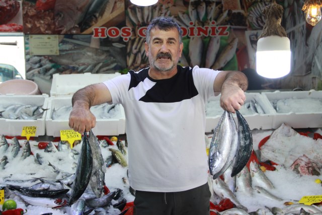 Karadeniz ve Samsun'da balık bolluğu yüzleri güldürdü
