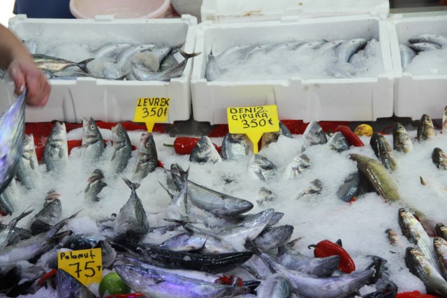 Karadeniz ve Samsun'da balık bolluğu yüzleri güldürdü