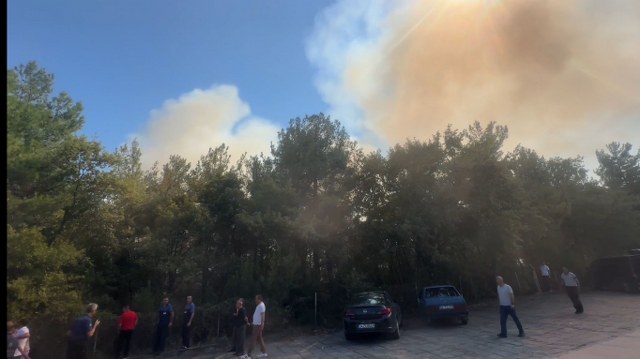 Samsun'da üniversite kampüsünde yangın çıktı