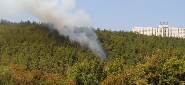 Samsun'da üniversite kampüsünde yangın çıktı