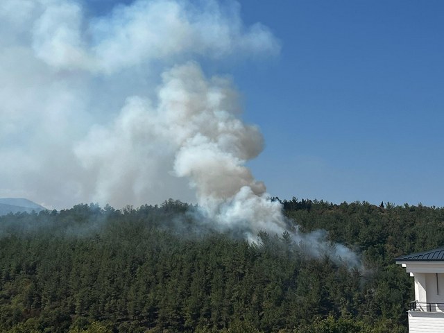 Samsun'da üniversite kampüsünde yangın çıktı
