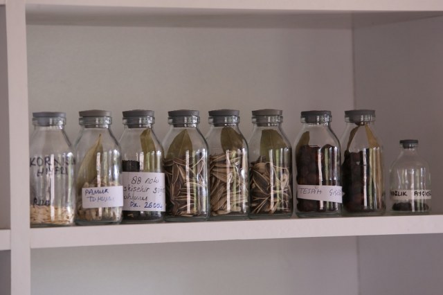 İlkadım’da organik tarıma destek  ata tohumları toprakla buluşuyor