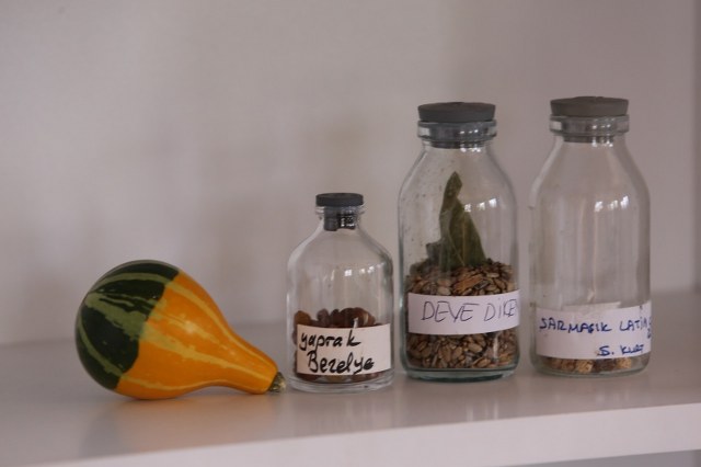 İlkadım’da organik tarıma destek  ata tohumları toprakla buluşuyor