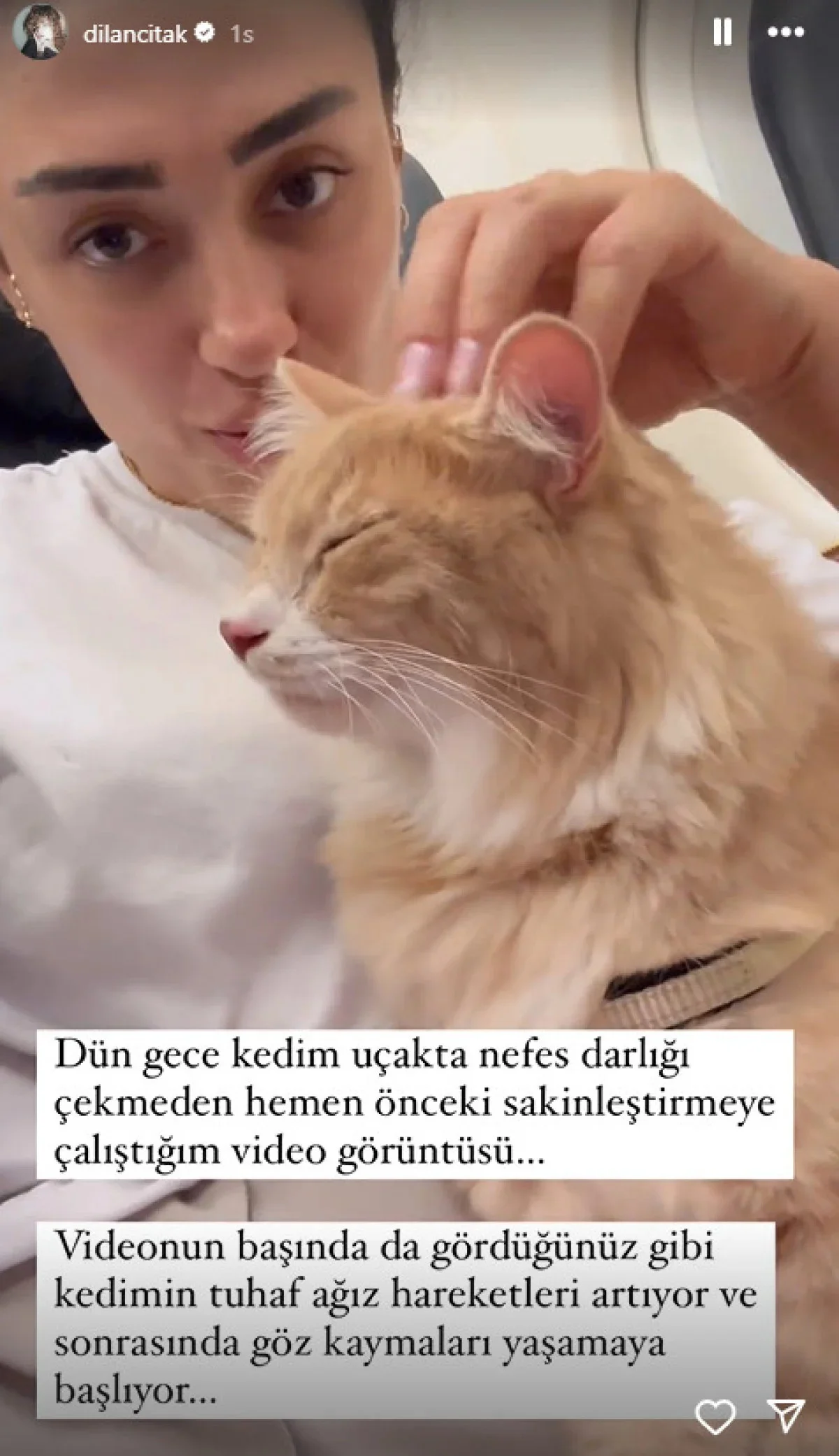 Uçakta hostese saldıran Dilan Çıtak Tatlıses'ten polise: Yerler seni koçum