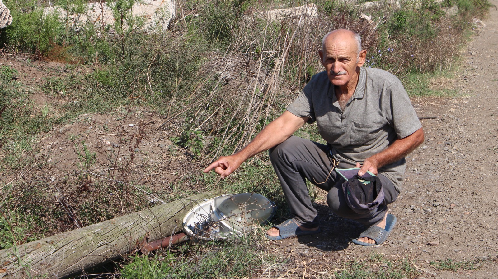 Samsun'da akıma kapılan hayvanları yüzünden elektrik şirketinden şikayetçi
