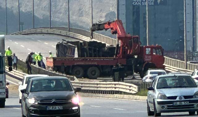 Tekkeköy'de arı sokması kazaya yol açtı