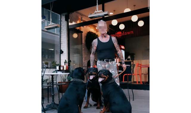 Samsun'da 4 köpeğin saldırısına uğrayıp öldü! Kızımı kaybettim diye gözyaşı döktü