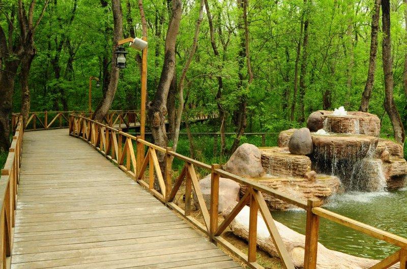 Atakum'da Çakırlar Korusu yeni yüzüyle ziyaretçilerini bekliyor