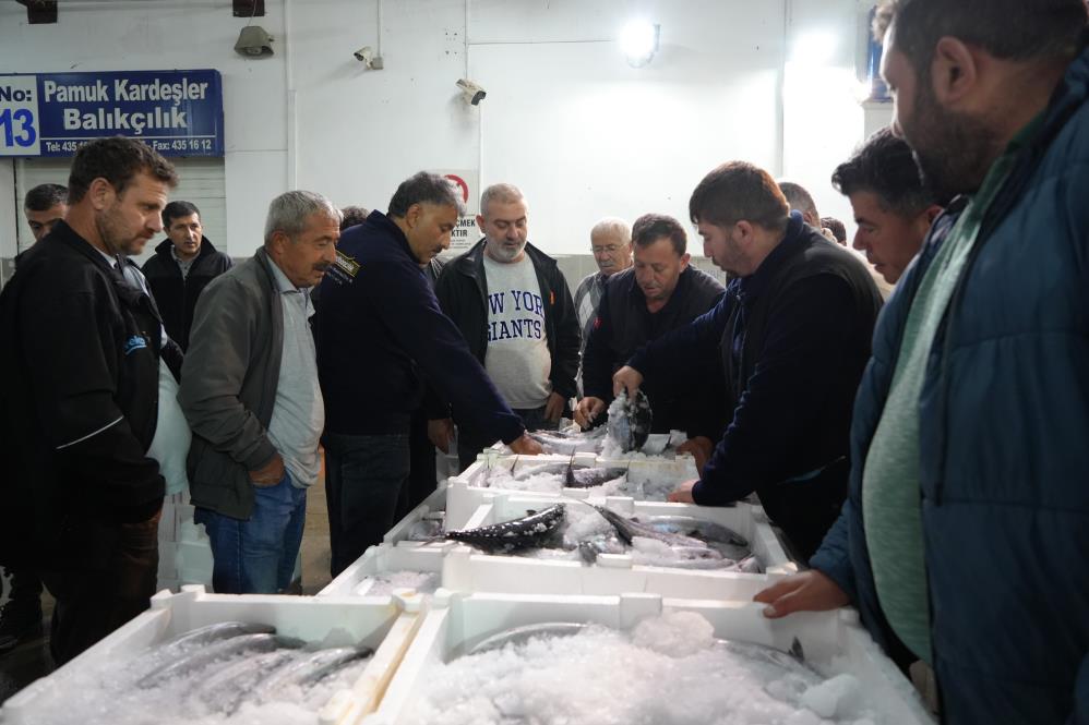 Samsun'da palamut bolluğu! Kapış kapış satıldı