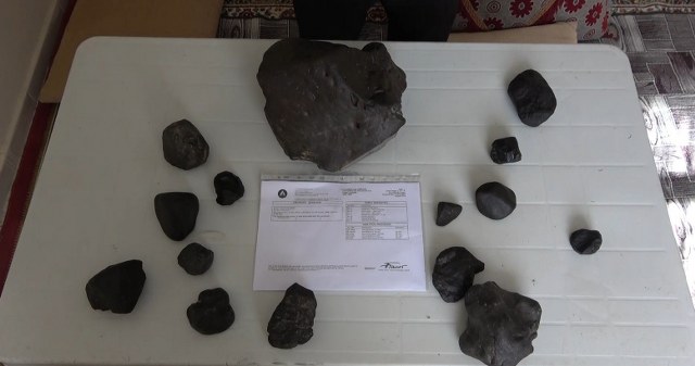 Mantar toplarken bulduğu taşlar göktaşı çıktı