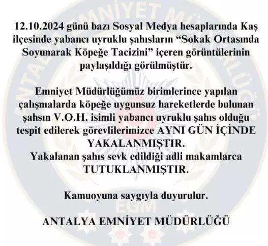 Antalya'da bir sokak köpeğine yönelik taciz girişimi