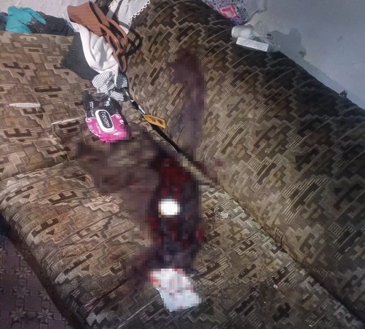 Baltalı torun cinayetinde bahçede bulunan cesedin kimliği belli oldu