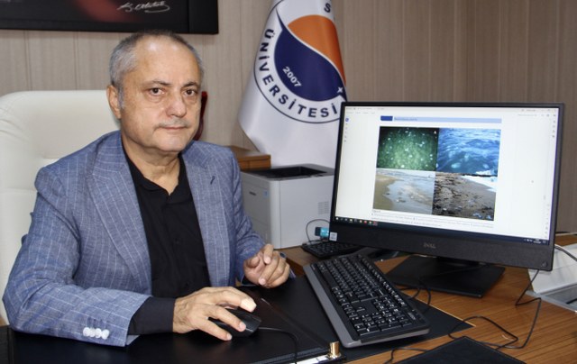 Denizanaları hamsinin besin kaynaklarını tehdit ediyor