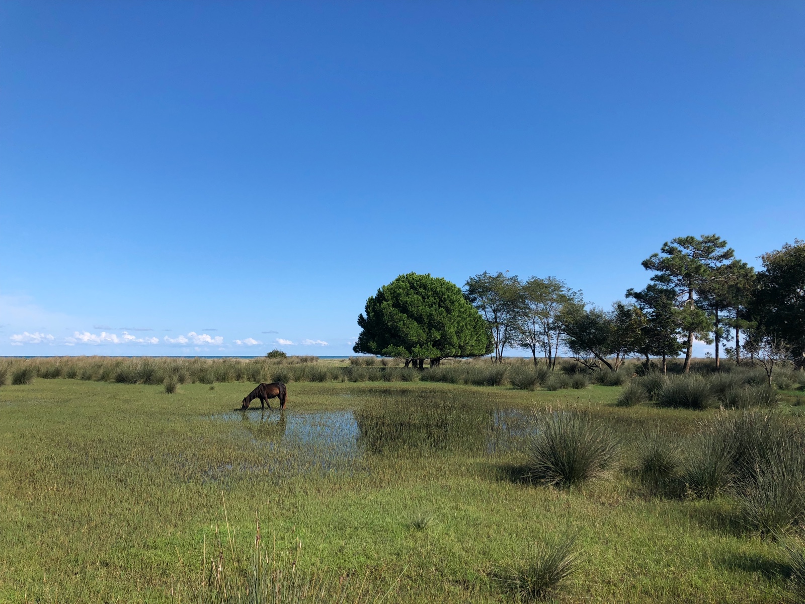 Kızılırmak Deltası'nda doğa için pedalla!
