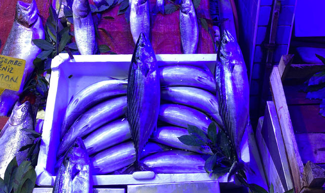 Samsun'da hamsinin fiyatı et fiyatlarıyla yarışıyor