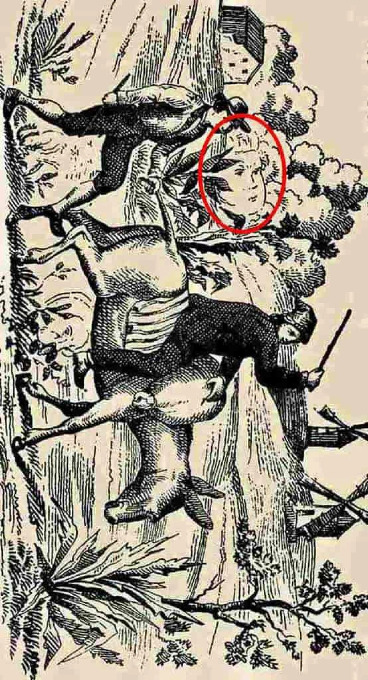 İllüzyon testi: 9 saniyede resimdeki gizli kadını bulun!