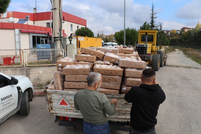 Samsun’un Havza ilçesinde yolcu otobüsünün bagajından çıkanlar şaşırttı