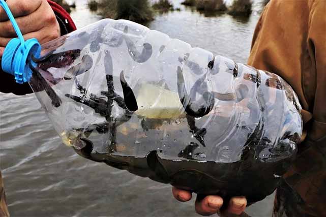 Samsun’dan hayvansal ürün ihracatında büyük başarı: 62,4 milyon dolar ve 18 milyon euro