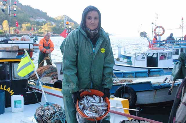 Samsun’dan hayvansal ürün ihracatında büyük başarı: 62,4 milyon dolar ve 18 milyon euro