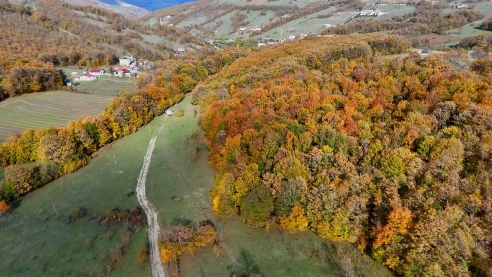 Sonbahar'ın renkleri Samsun'u süslüyor