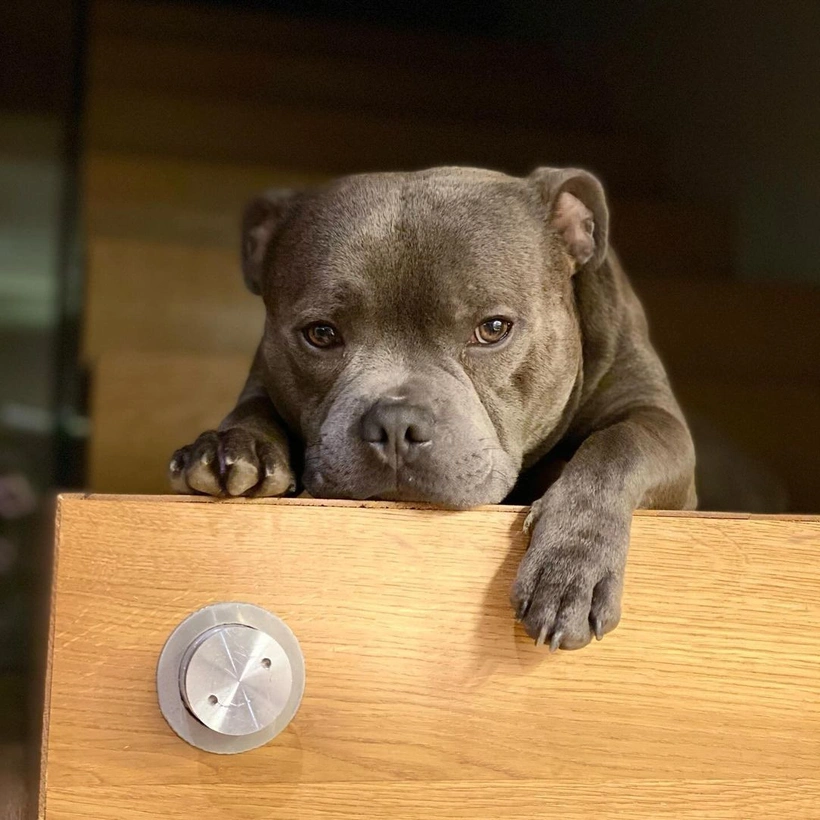 Kıvanç Tatlıtuğ’dan üzen paylaşım