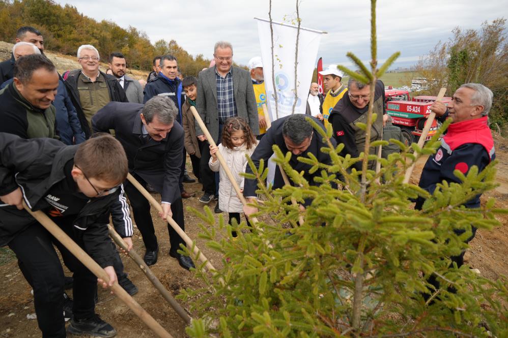 Samsun'da 100 bin fidan toprakla buluştu