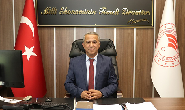 Hamsi avı dönemi başladı