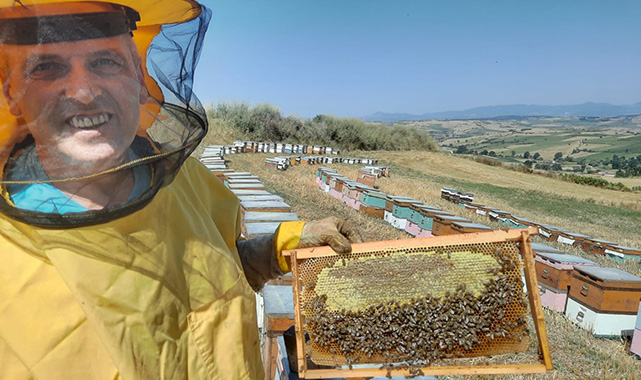 Samsun'dan dünyaya altın madalyalı bal