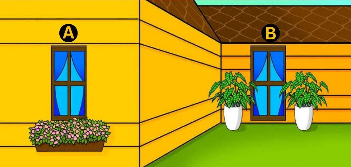 Kafa yakan IQ testi! Hangi pencere daha büyük? Sadece 5 saniyeniz var! 