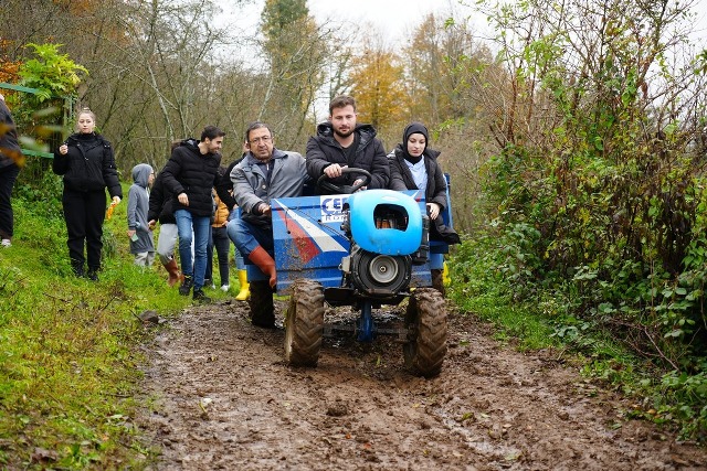 Uygulamalı eğitimle tarım öğretiliyor OMÜ'de kivi hasadı dersi