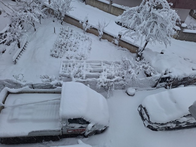 Samsun'da kar yağışı 15 ilçede 142 mahalle yolunu ulaşıma kapattı