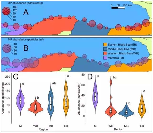 Uzmanlar uyarıyor! 'Karadeniz için korkulan oldu'