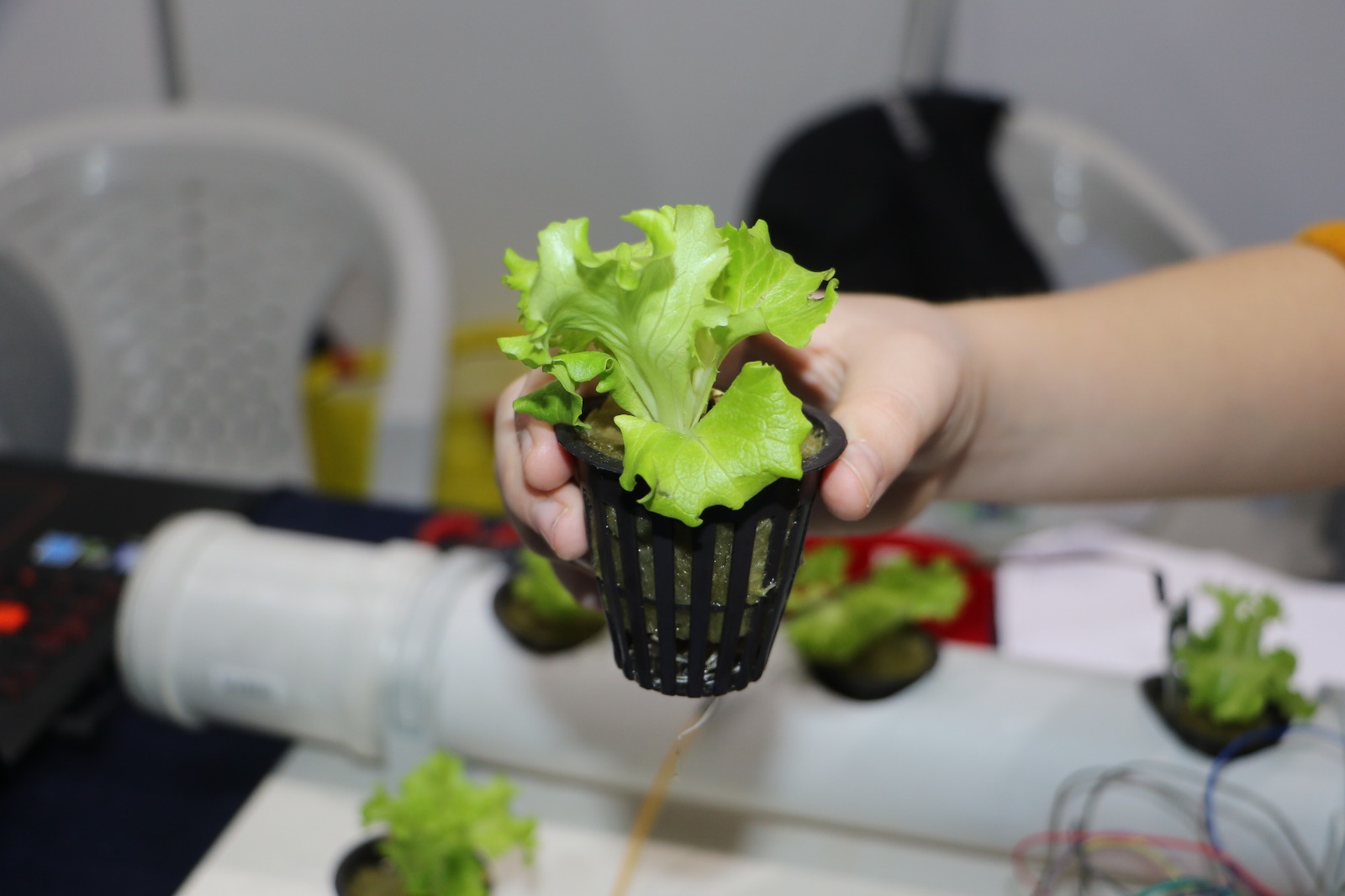 Samsun’da 7. sınıf öğrencisinden buharlı tarım projesi