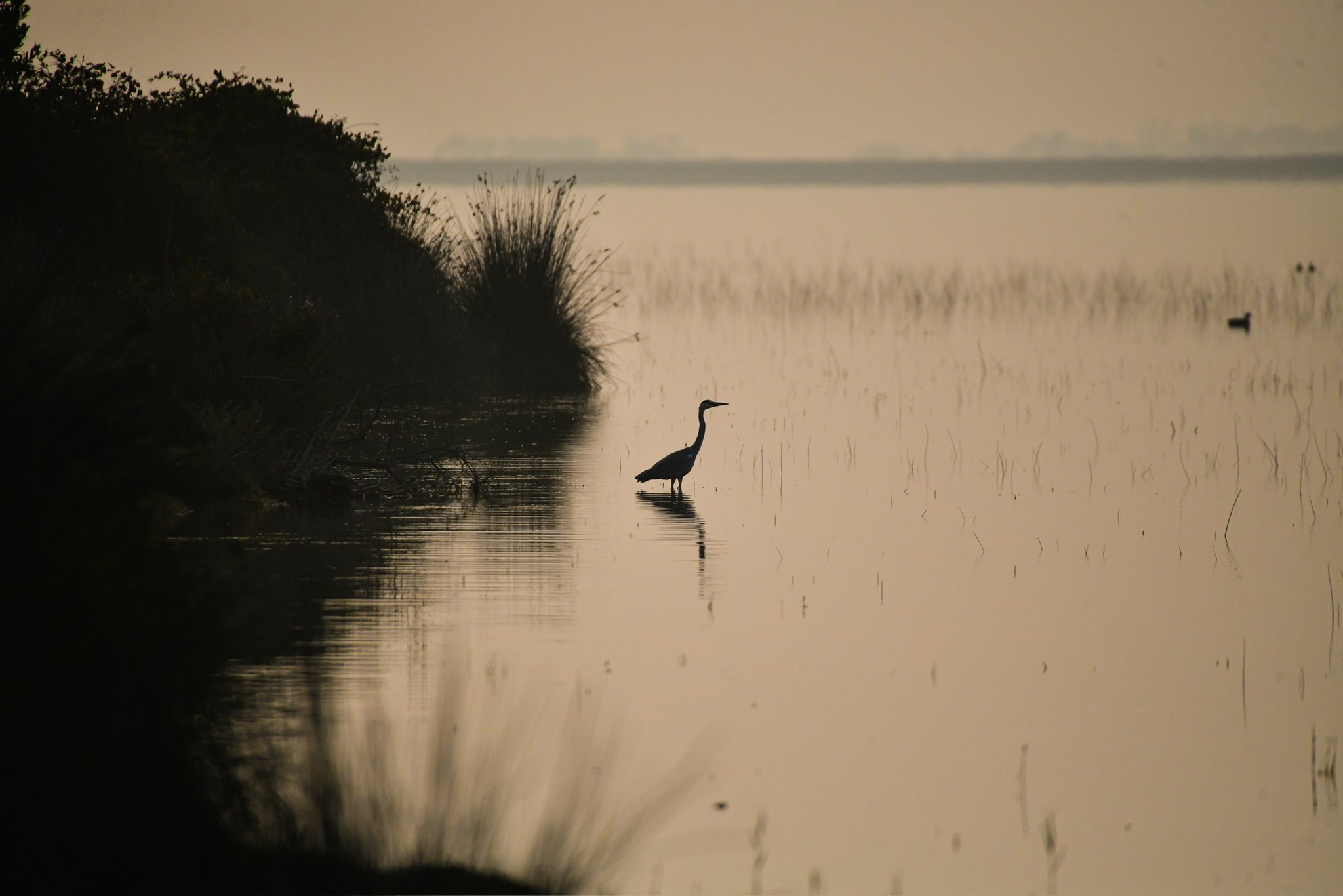 Kızılırmak Deltası'nda sanat eserini andıran manzaralar