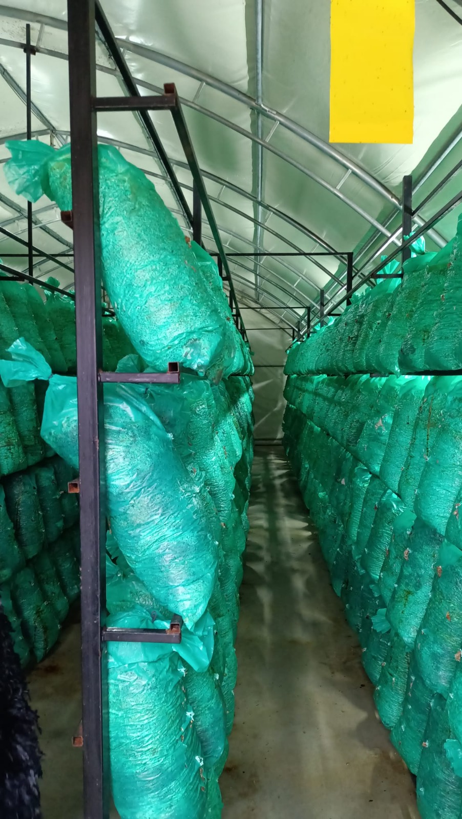 VİZYONU İLÇEYE BÜYÜK GELİYOR