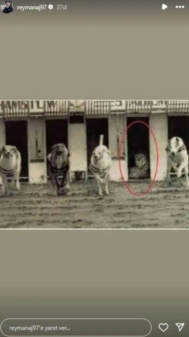 Rey Manaj, VAR görüntüleri sonrası sosyal medyada sessizliğini bozdu!