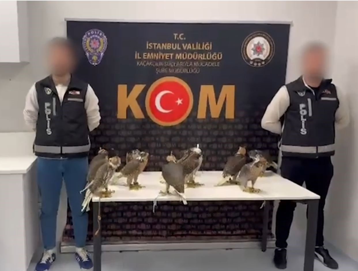 Samsun'dan kaçırılan Gökdoğanlar İstanbul Havalimanı'nda ele geçirildi