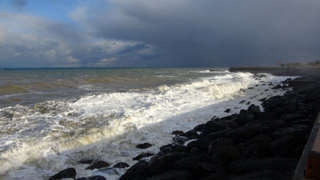 Fırtına balıkçıları vurdu! Hamsinin fiyatı 2 katına çıktı