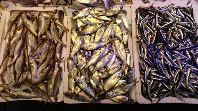 Fırtına balıkçıları vurdu! Hamsinin fiyatı 2 katına çıktı