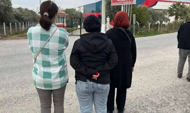 İncir işletmesi iflas etti! Alacaklılar fabrikaya akın etti