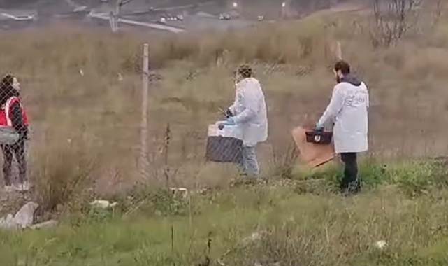 Müge Anlı'da aranan Samsunlu Hayati Çakır ölü bulundu