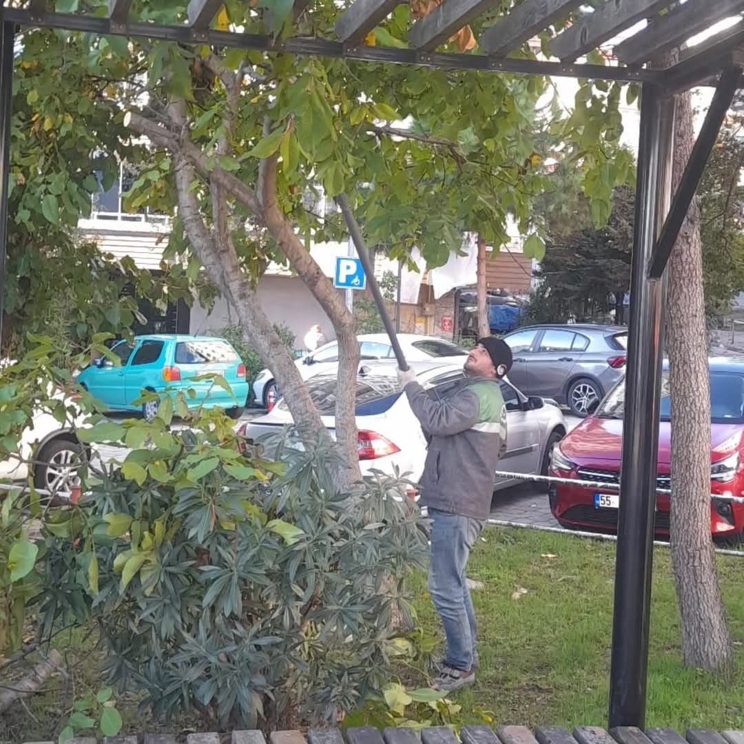 İlkadım'da doğal çevreye estetik dokunuş için budama!