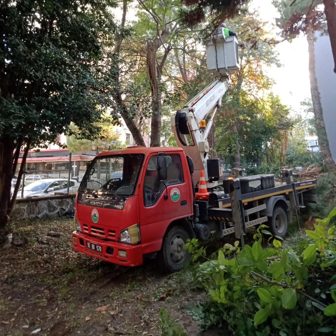 İlkadım'da doğal çevreye estetik dokunuş için budama!