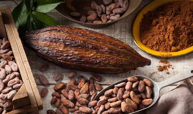 Kakao fiyatları rekor kırdı!