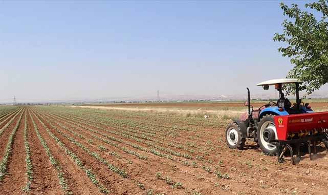 Samsun Bafra'da ÇKS kayıtlarında son gün 31 Aralık