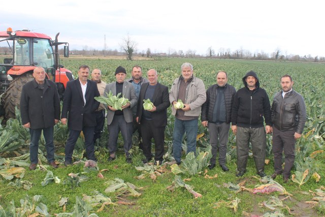 Samsun'da karnabahar fiyatları el yakıyor! Vatandaş almakta zorlanıyor