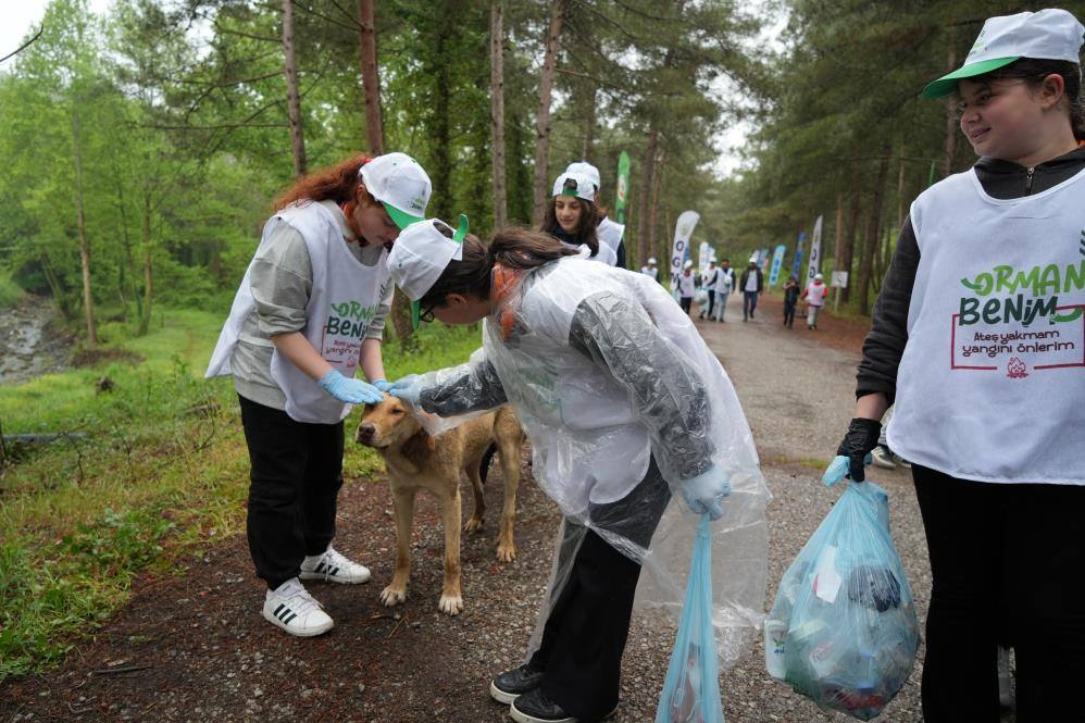 Samsun'da ormanlardan tonlarca atık toplandı