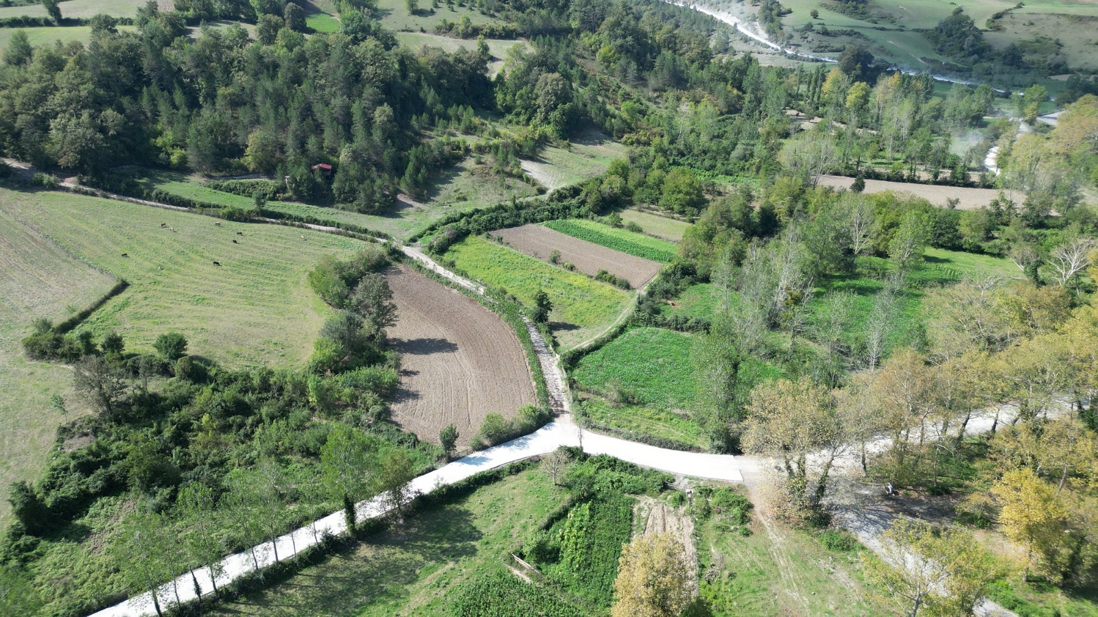 Samsun Büyükşehir Belediyesinden dev yol yatırımı: 17 ilçede 568 bin metre yol